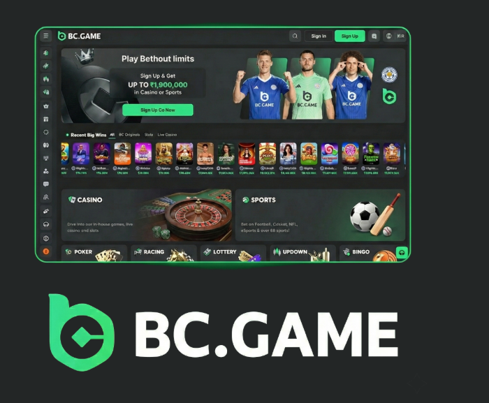 Maximize Your Winnings Discover BC.Game Bonuses and Promo Codes